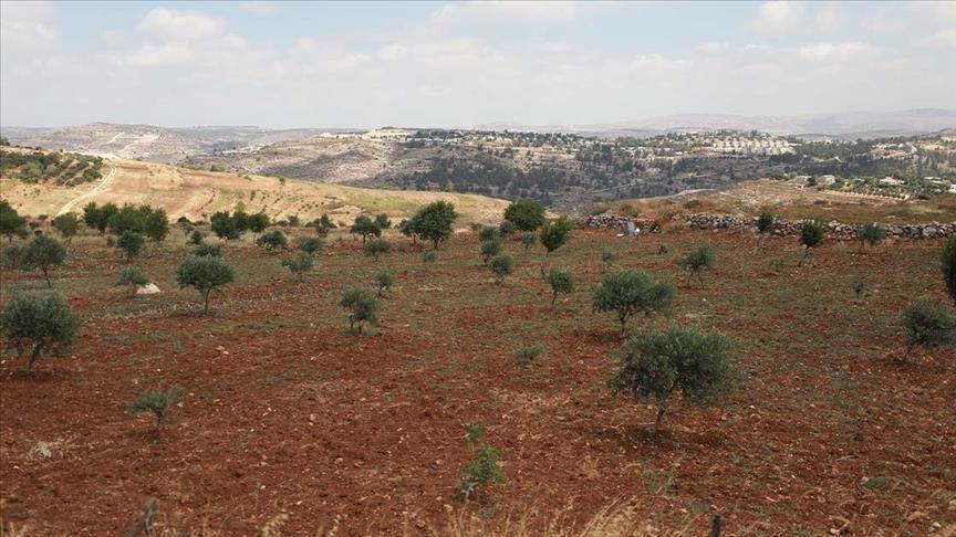 "مقاومة الجدار والاستيطان" تسترد 50 دونما استولى عليها مستوطنون